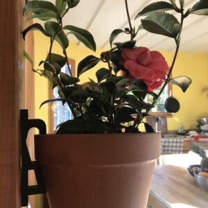 79533818509 fe7cbe24 cda4 49b0 b9a3 23b1daf0e8bc