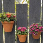 Mur végétal avec les akropot