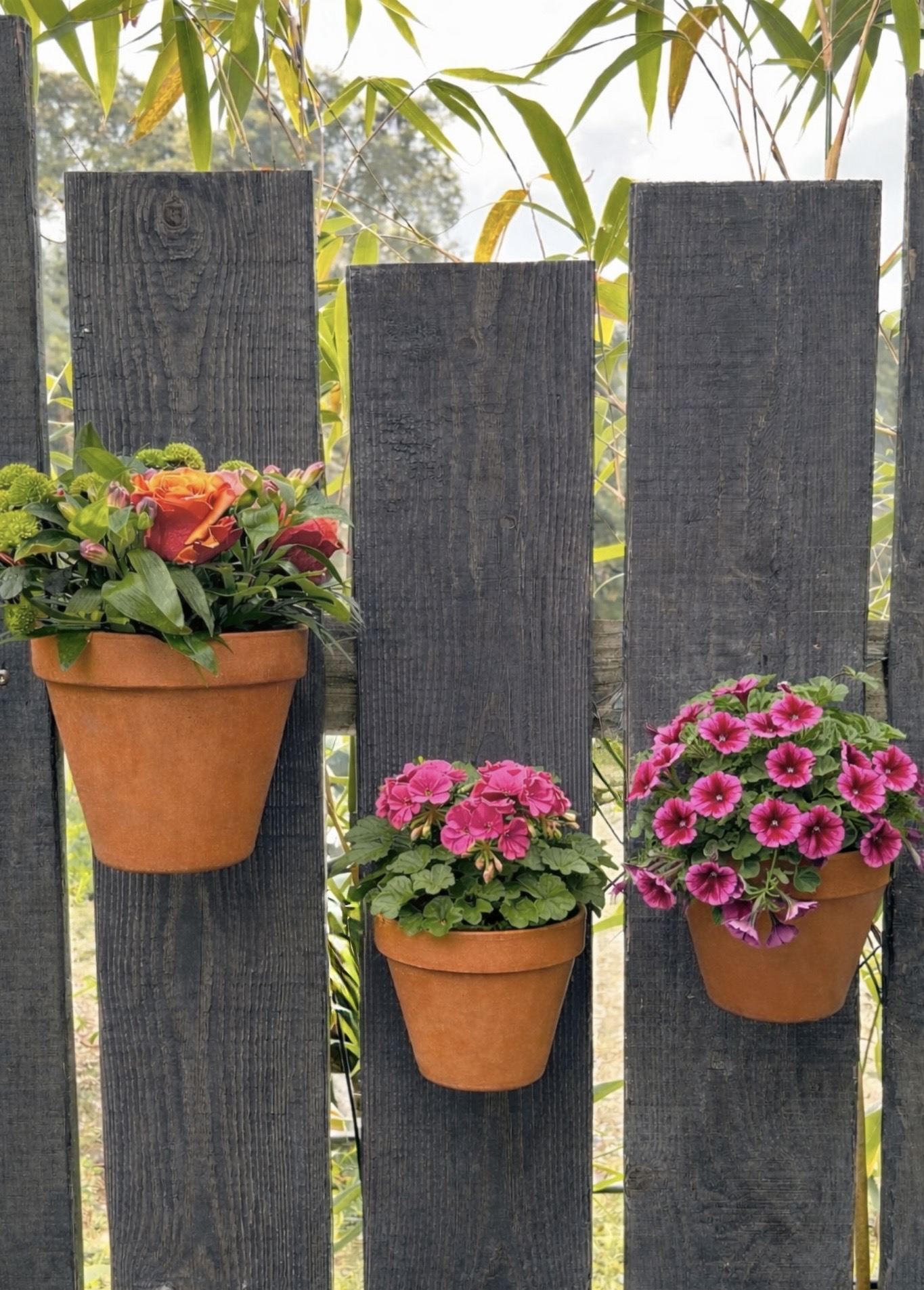 Mur végétal avec les akropot